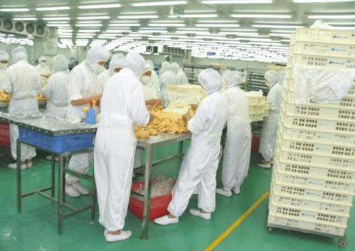 食品廠與餐飲管理中最適用的地坪漆選擇